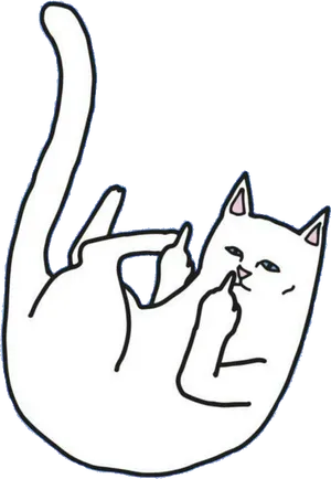 Cat Giving Middle Finger PNG Image