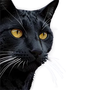 Cat Head Illustration Png Etq PNG Image