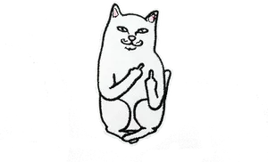 Cat Patch Giving Middle Finger PNG Image