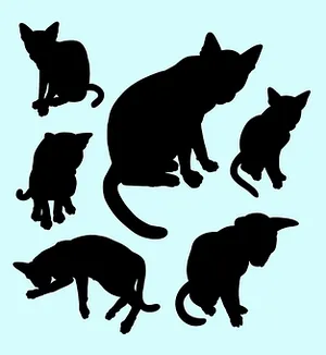 Cat Silhouettes Collection PNG Image