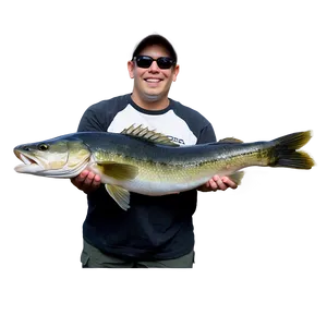 Catching Walleye Png 2 PNG Image