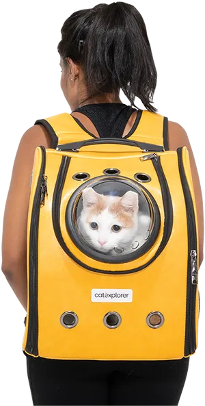 Catin Backpack Window PNG Image