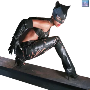 Catwoman_ Crouching_on_ Beam PNG Image