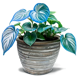 Cebu Blue Pothos Features Png 71 PNG Image