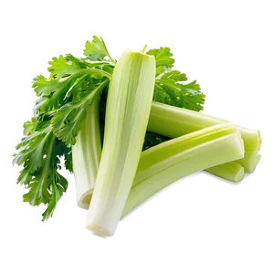 Celery Stalk Png 06252024 PNG Image