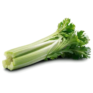 Celery Stalk Png 06252024 PNG Image