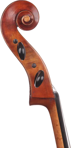 Cello Scrolland Pegbox Detail PNG Image