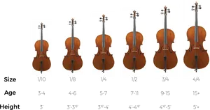 Cello Sizes Comparison Chart PNG Image