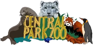 Central Park Zoo Animal Montage PNG Image