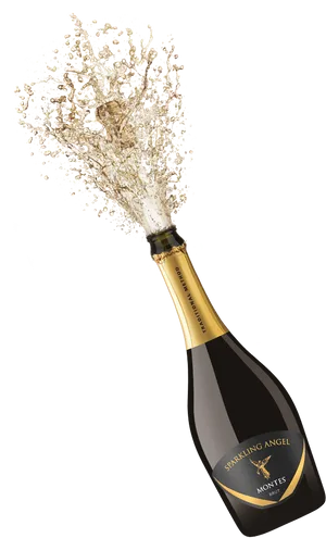 Champagne Celebration Splash PNG