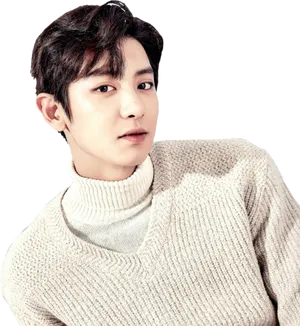 Chanyeolin White Turtleneck Sweater PNG Image