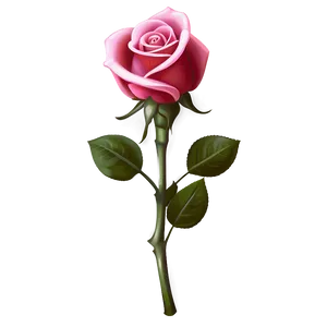 Charming Rose Png 4 PNG Image