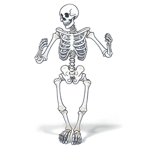 Cheerful Skeleton Dancing Png Atr41 PNG Image