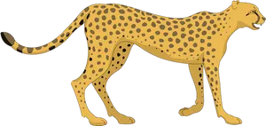 Cheetah Illustration Side View PNG Image