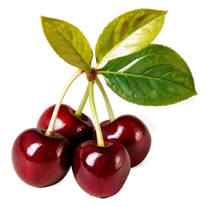 Cherries Cluster Png Rua PNG Image