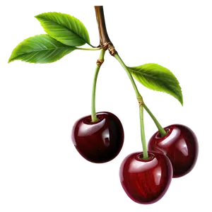 Cherries On Branch Png Use PNG Image