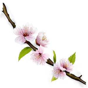 Cherry Blossom Branch Png 06292024 PNG Image