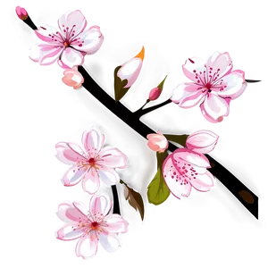 Cherry Blossom Branch Png 22 PNG Image