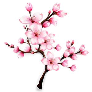 Cherry Blossom Decoration Png 10 PNG Image