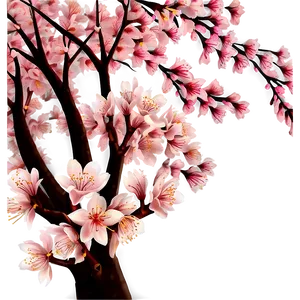 Cherry Blossom Decoration Png Abf12 PNG Image