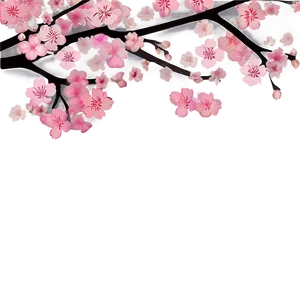 Cherry Blossom Frame Png Aoy PNG Image