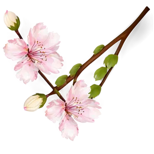 Cherry Blossom Frame Png Dta PNG Image