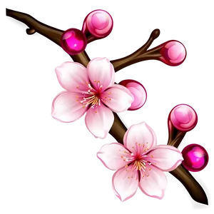 Cherry Blossom Illustration Png Ixr PNG Image