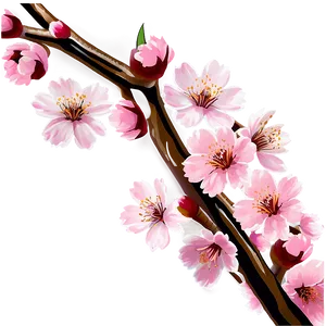 Cherry Blossom Png 51 PNG Image