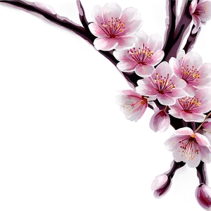 Cherry Blossom Wallpaper Png 06292024 PNG Image