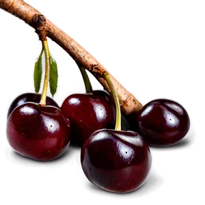 Cherry Harvest Png 06212024 PNG Image