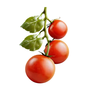 Cherry Tomato Plant Png Kig15 PNG Image