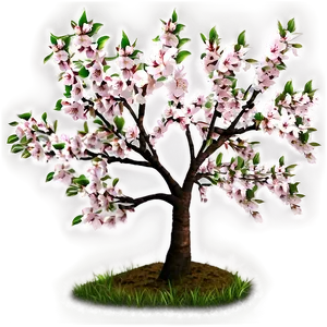 Cherry Tree B PNG Image