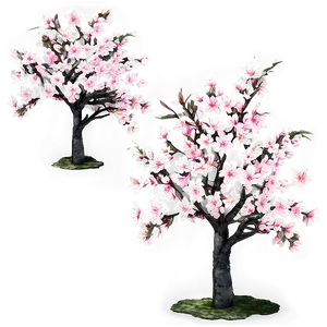 Cherry Tree C PNG Image