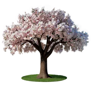 Cherry Tree Garden Png Imf2 PNG Image