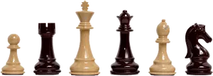 Chess Pieces Display PNG Image