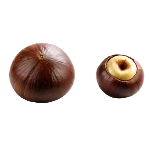 Chestnut Png 06122024 PNG Image