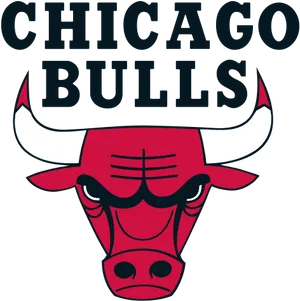 Chicago Bulls Logo PNG Image