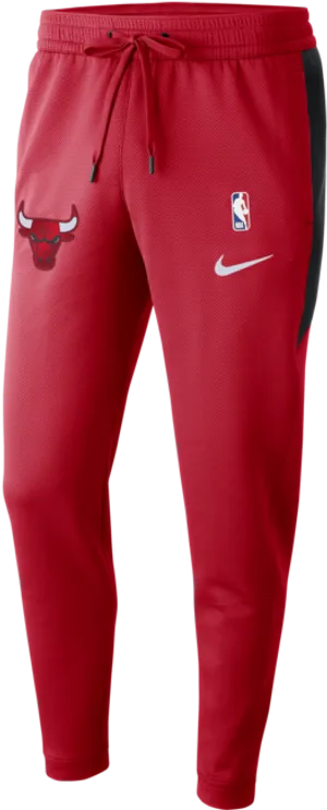 Chicago Bulls Nike Therma Flex Pants PNG Image