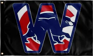 Chicago Cubs Logo Flag PNG Image