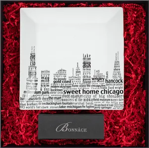 Chicago Themed Word Art Scarf PNG Image