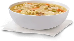 Chicken Noodle Soup Bowl PNG