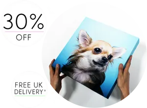 Chihuahua Portrait Canvas Discount Offer PNG Image