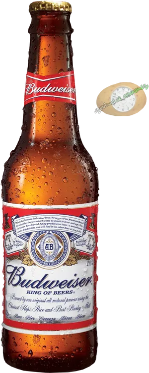 Chilled Budweiser Beer Bottle PNG Image