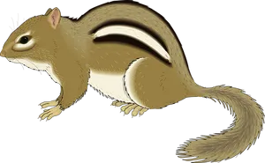 Chipmunk_ Illustration_ Vector PNG Image