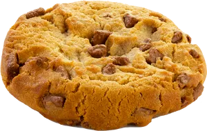 Chocolate Chip Cookie Isolated PNG Image