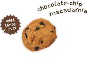 Chocolate Chip Macadamia Cookie Best Taste Ever PNG Image