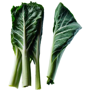 Chopped Collard Greens Png 12 PNG Image