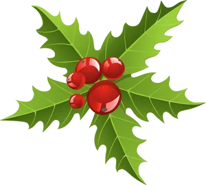 Christmas Holly Berries Illustration PNG Image