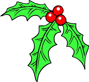 Christmas Holly Clipart PNG Image