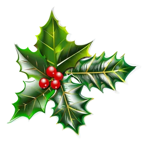 Christmas Holly Silhouette Png Nwp48 PNG Image